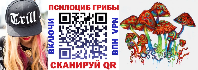 Псилоцибиновые грибы MAGIC MUSHROOMS  Буй 